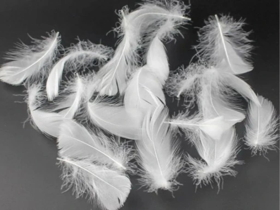 Pūkinė pagalvė - žąsų plunksnos - Image 4