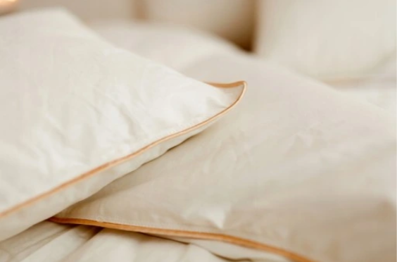 Pūkinė pagalvė - žąsų plunksnos - Image 3